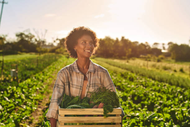 Planning and setting goals for my 2023 gardening season