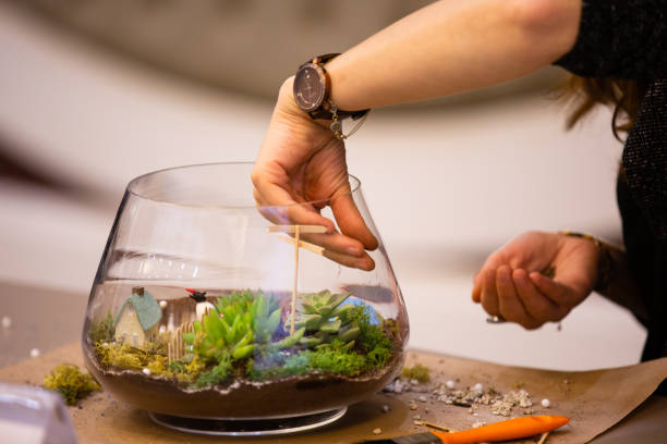 Terrariums
