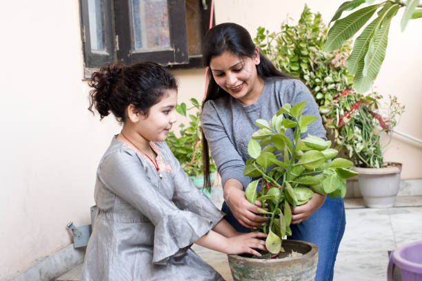 These symptoms indicate that your plants require immediate attention
