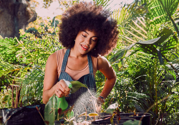 Did you know that you can propagate plants using leaves? Here is how.