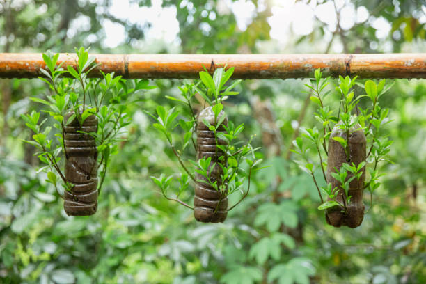 Gardening Sustainable in a Changing Climate