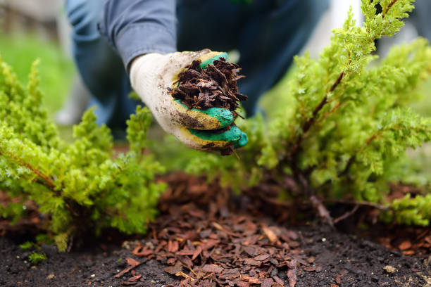 Getting your garden ready for spring!